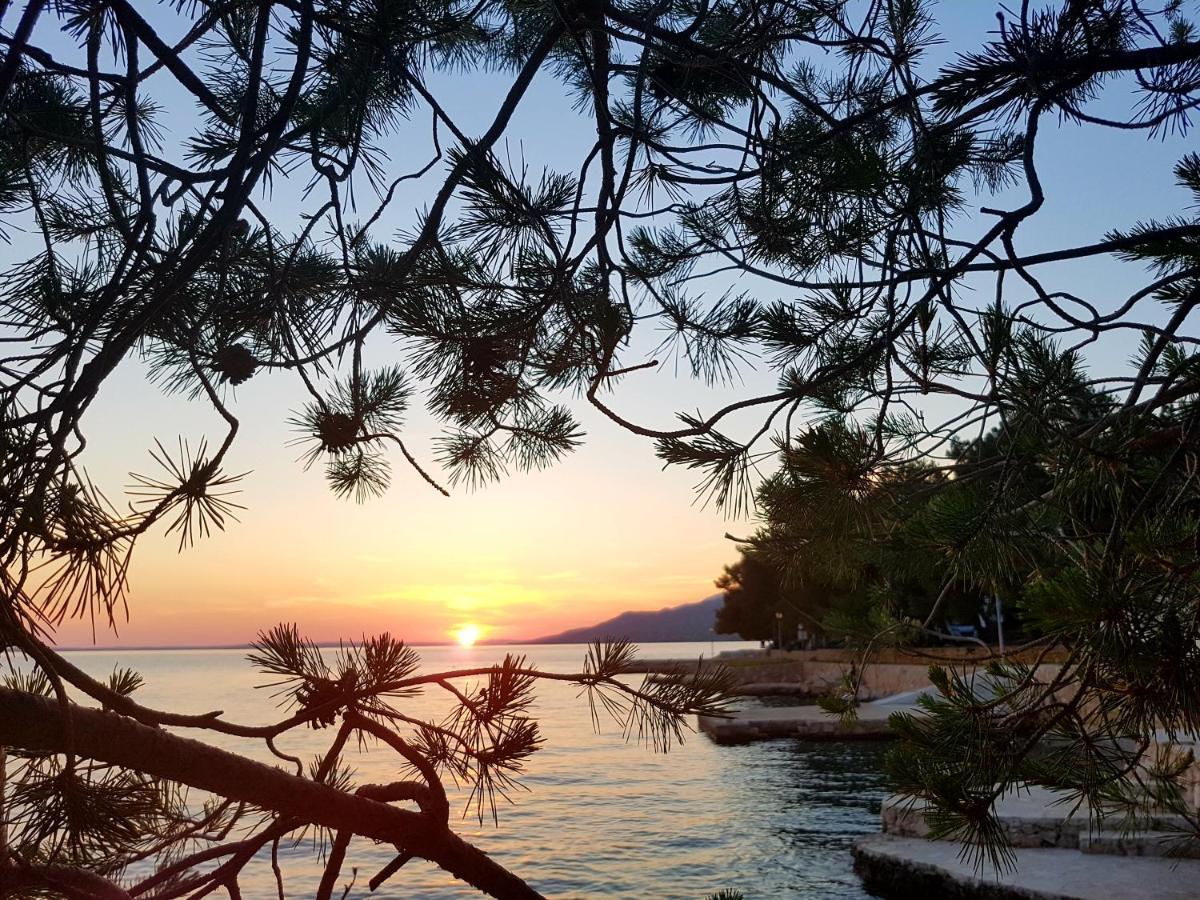 Ferienwohnung Bosi I Goli Starigrad Paklenica Exterior foto